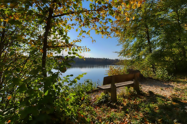 具备的细致 具备的细致