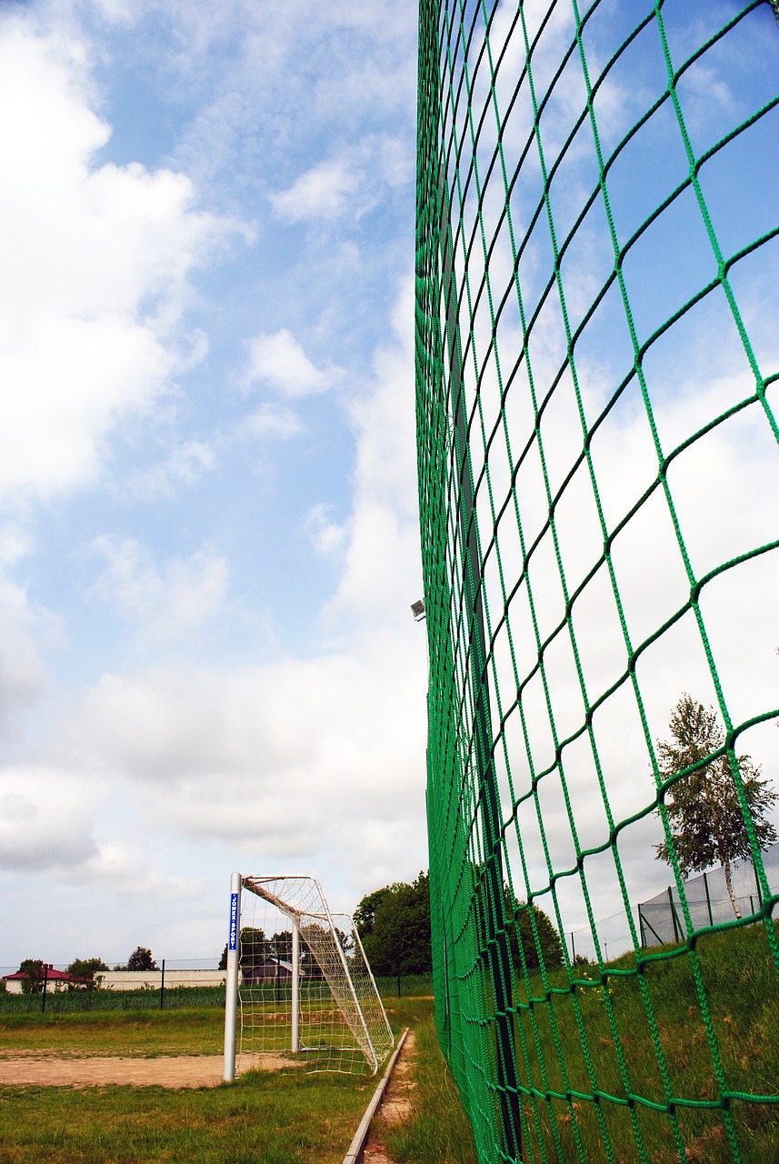 值得高度重 值得高度重